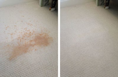 carpet cleaning before after